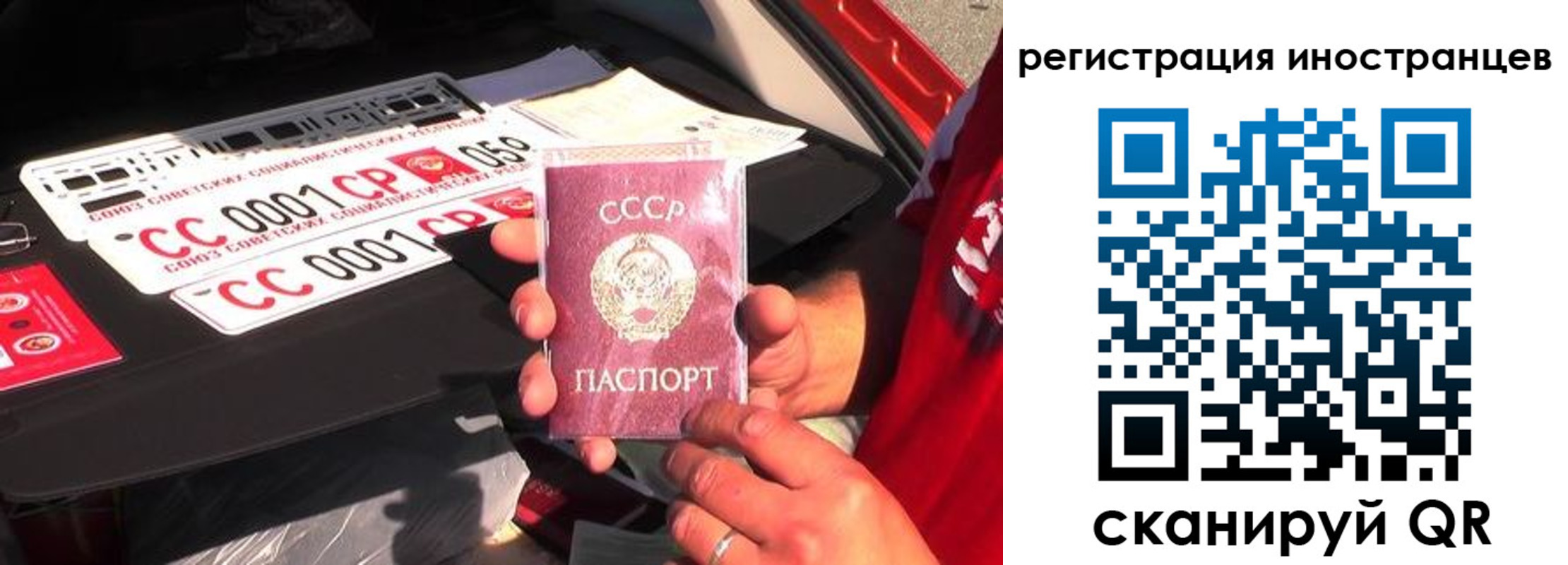 прописка гарантия в Дубовке